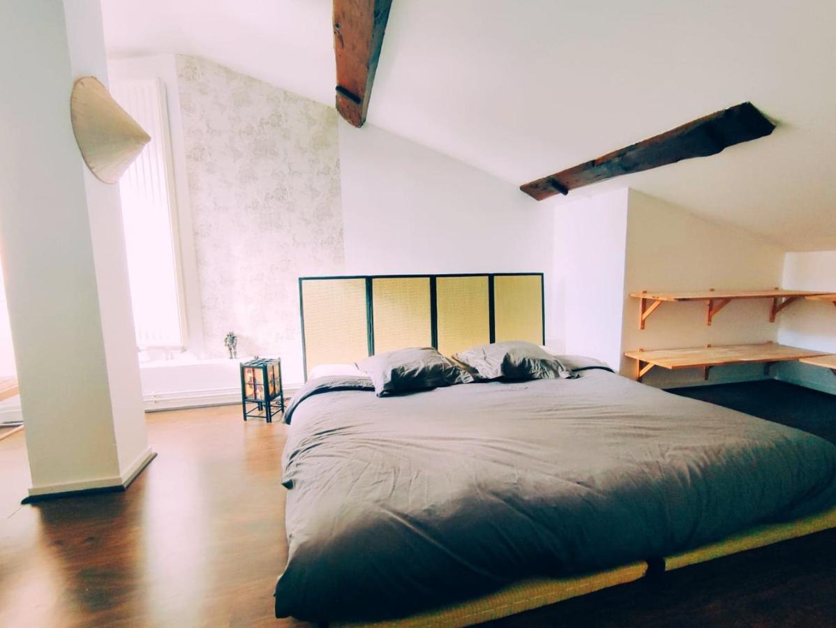 Superbe Appartement Duplex Centre Ville De Mâcon Kültér fotó